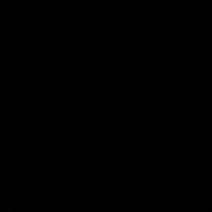 Meet your Posher, Elijah